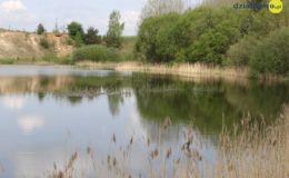 Zawody wędkarskie o puchar burmistrza