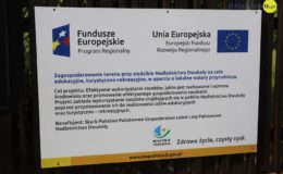 Teren przy Nadleśnictwie Dwukoły już otwarty