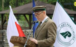 Teren przy Nadleśnictwie Dwukoły już otwarty