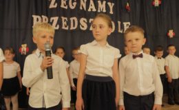 Biedroneczki pożegnały przedszkole