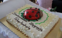 Biedroneczki pożegnały przedszkole