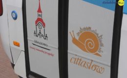 Testowy przejazd Działdowską Komunikacją Miejską