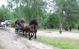 Regionalne Zawody w Powożeniu Zaprzęgami Parokonnymi