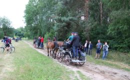 Regionalne Zawody w Powożeniu Zaprzęgami Parokonnymi