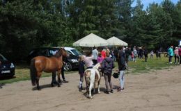 Regionalne Zawody w Powożeniu Zaprzęgami Parokonnymi