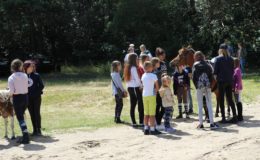 Regionalne Zawody w Powożeniu Zaprzęgami Parokonnymi
