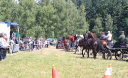 Regionalne Zawody w Powożeniu Zaprzęgami Parokonnymi