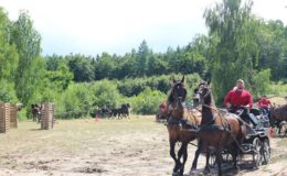 Regionalne Zawody w Powożeniu Zaprzęgami Parokonnymi
