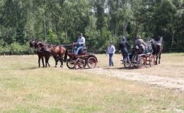 Regionalne Zawody w Powożeniu Zaprzęgami Parokonnymi