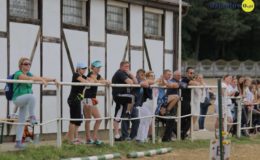 Zawody jeździeckie w skokach przez przeszkody
