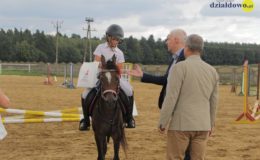 Zawody jeździeckie w skokach przez przeszkody