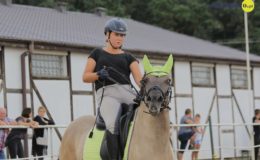 Zawody jeździeckie w skokach przez przeszkody