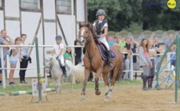 Zawody jeździeckie w skokach przez przeszkody