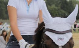 Zawody jeździeckie w skokach przez przeszkody