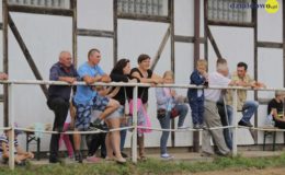 Zawody jeździeckie w skokach przez przeszkody