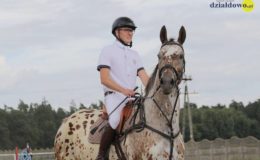 Zawody jeździeckie w skokach przez przeszkody