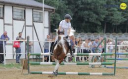 Zawody jeździeckie w skokach przez przeszkody