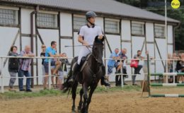 Zawody jeździeckie w skokach przez przeszkody