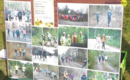 Pierwsze urodziny parkrun Działdowo
