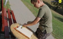 Warsztaty Artystyczne Moje Miasto