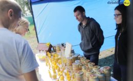 Jarmark Antyków, Rękodzieła i Zdrowej Żywności oraz zlot pojazdów zabytkowych