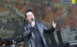 Jarmark Antyków, Rękodzieła i Zdrowej Żywności oraz zlot pojazdów zabytkowych