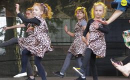 Jarmark Antyków, Rękodzieła i Zdrowej Żywności oraz zlot pojazdów zabytkowych