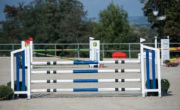 Zawody jeździeckie w skokach przez przeszkody