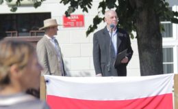 Przejęcia Działdowa z rąk niemieckich przez żołnierzy Błękitnej Armii Hallera. Druga część spektaklu historycznego