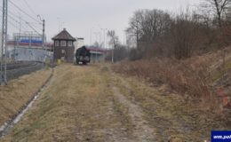 Stawił się na policyjny dozór, a zakończył wizytę w areszcie śledczym