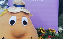 „Święto Pieczonego Ziemniaka”