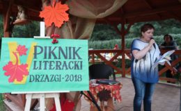 Literacko na Pikniku Poetów