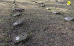Uczniowie sprzątali cmentarz przy ul. Grunwaldzkiej
