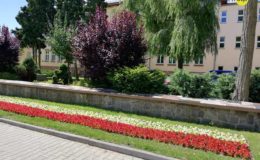 Dekoratornia – Barwy Niepodległej