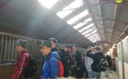W imię wolności! – nowy projekt edukacyjny w II LO