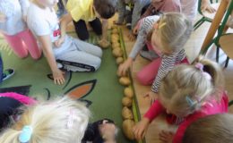 Podsumowanie realizacji projektu badawczego „Ziemniak”