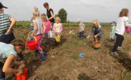 Podsumowanie realizacji projektu badawczego „Ziemniak”