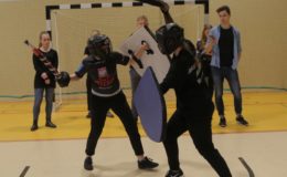 Mistrzostwa Polski w Sportowych Walkach Rycerskich oraz Gala Profesjonalnych Walk Rycerskich