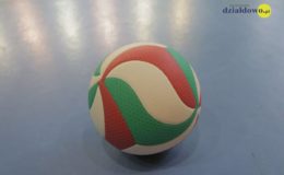 Turniej Piłki Siatkowej z okazji Święta Niepodległości