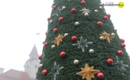 „Odpalamy choinkę” – zapraszamy na świąteczną imprezę na Pl. Mickiewicza