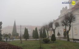 „Odpalamy choinkę” – zapraszamy na świąteczną imprezę na Pl. Mickiewicza