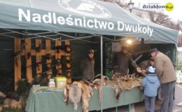 Choinka rozbłysła dziesiątkami światełek