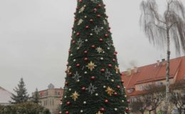 Choinka rozbłysła dziesiątkami światełek