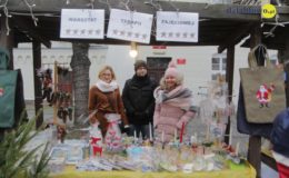Choinka rozbłysła dziesiątkami światełek
