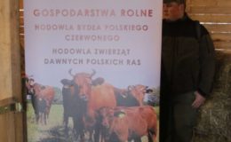 Choinka rozbłysła dziesiątkami światełek