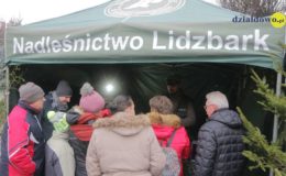 Choinka rozbłysła dziesiątkami światełek
