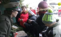 Choinka rozbłysła dziesiątkami światełek