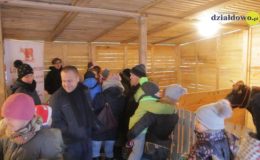Choinka rozbłysła dziesiątkami światełek