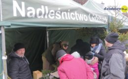 Choinka rozbłysła dziesiątkami światełek