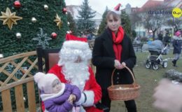 Choinka rozbłysła dziesiątkami światełek